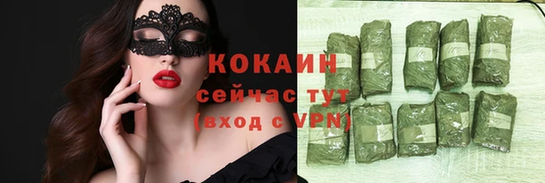 молекула духа Алексин