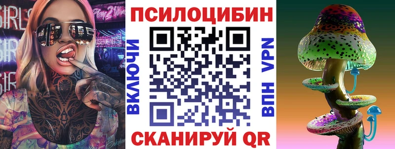 Купить  Ставрополь  Псилоцибиновые грибы GOLDEN TEACHER 